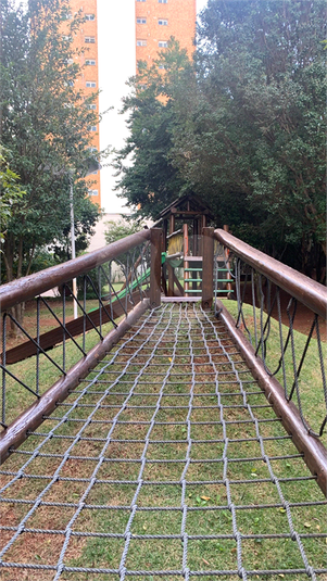 Foto REO150479