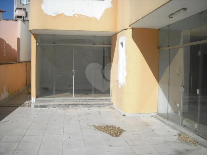 Foto REO151780