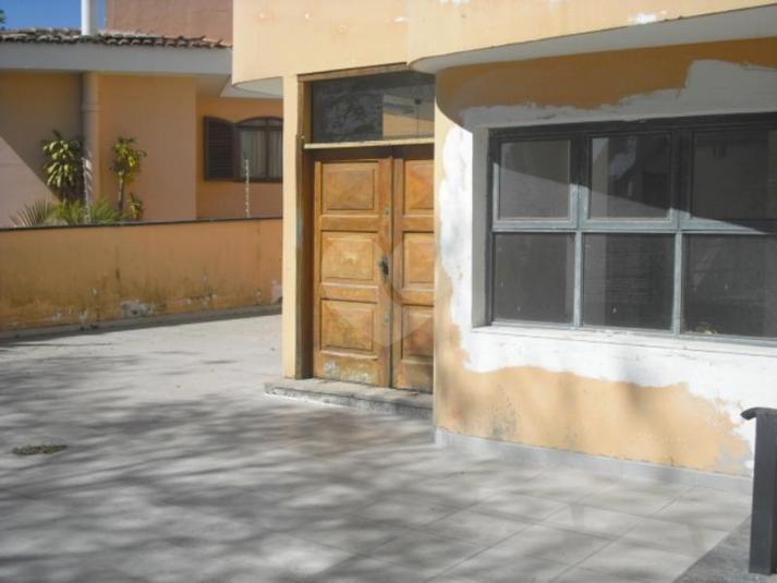 Foto REO151780