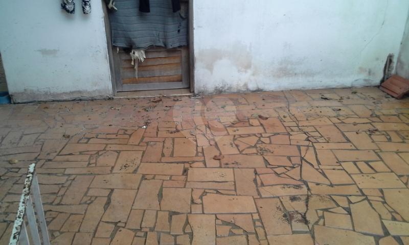 Foto REO151914
