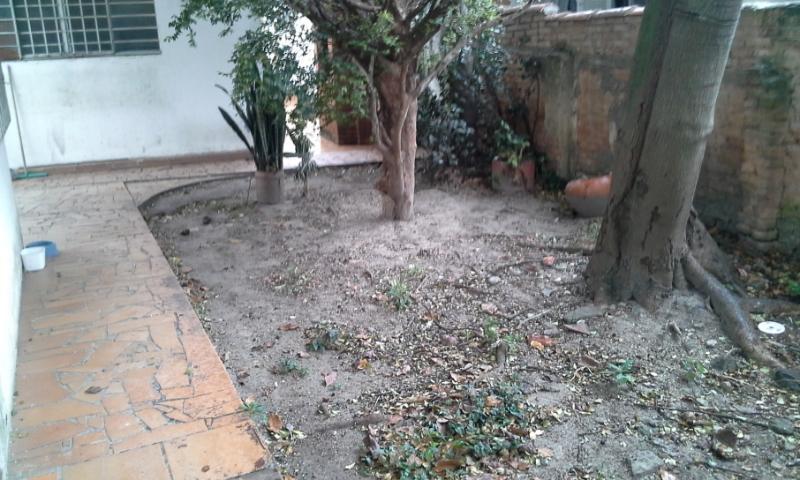 Foto REO151914