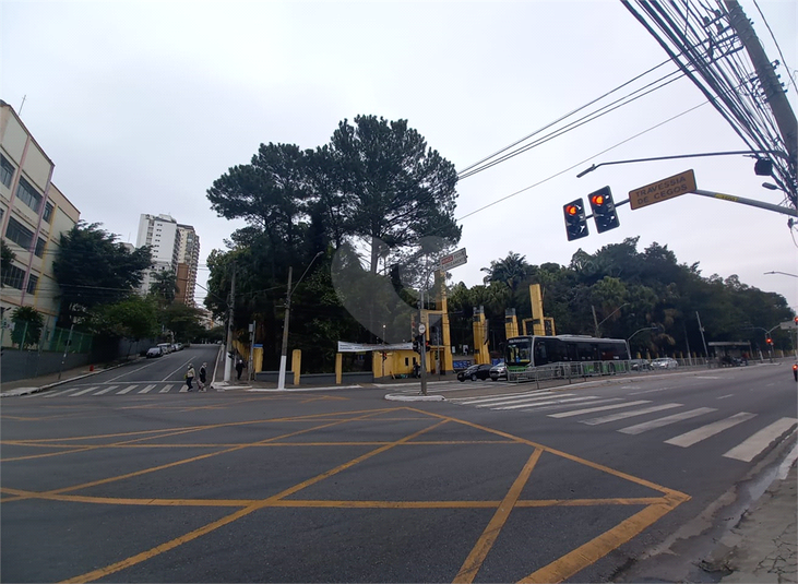 Foto REO152245