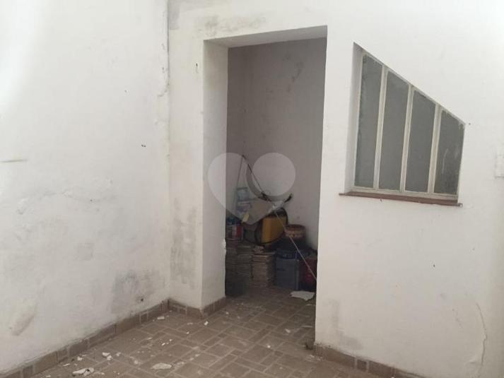 Foto REO152738