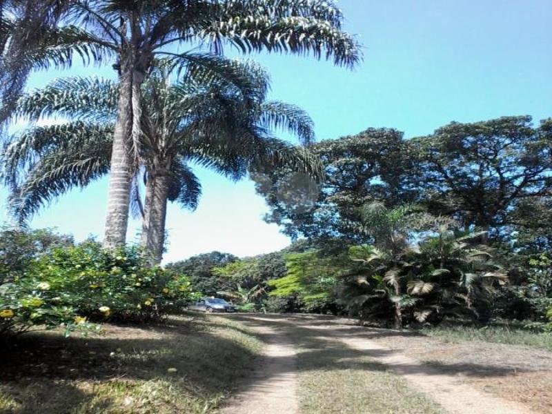 Venda Chácara Santo André Parque Rio Grande REO153457 1