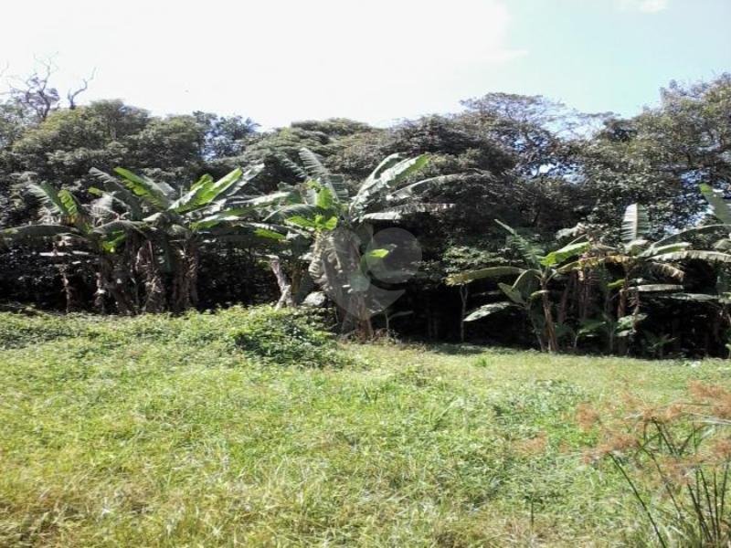 Venda Chácara Santo André Parque Rio Grande REO153457 5