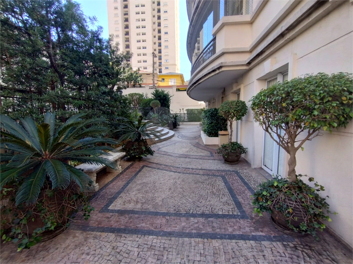 Foto REO153581