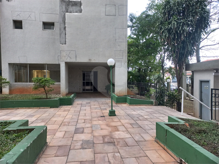 Foto REO153757
