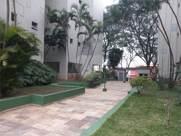 Foto REO153757
