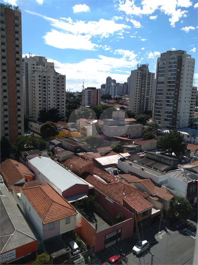 Foto REO154113
