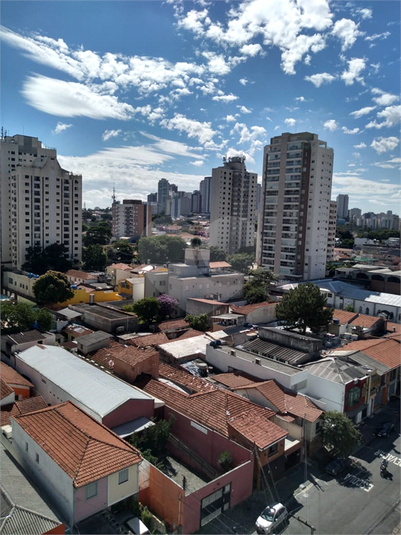 Foto REO154113