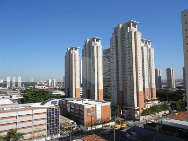 Foto REO154461