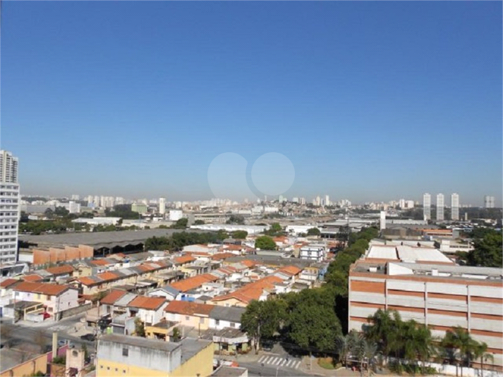 Foto REO154461