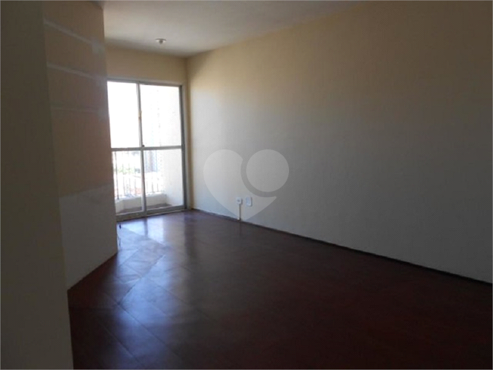 Foto REO154461