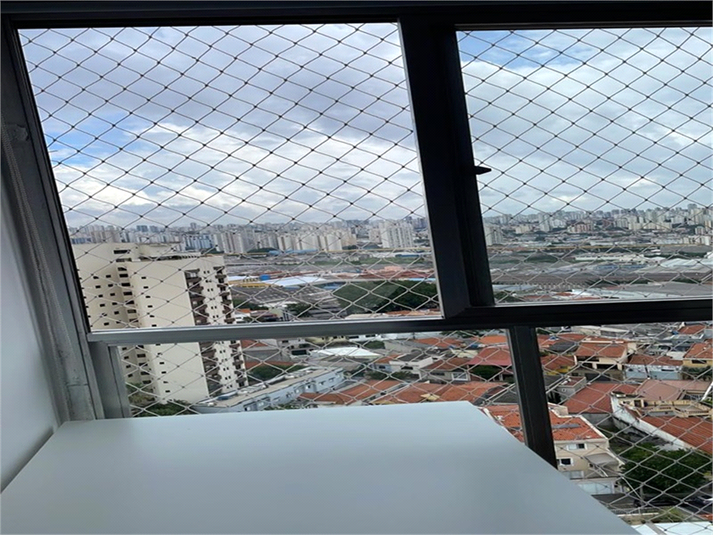 Foto REO155539