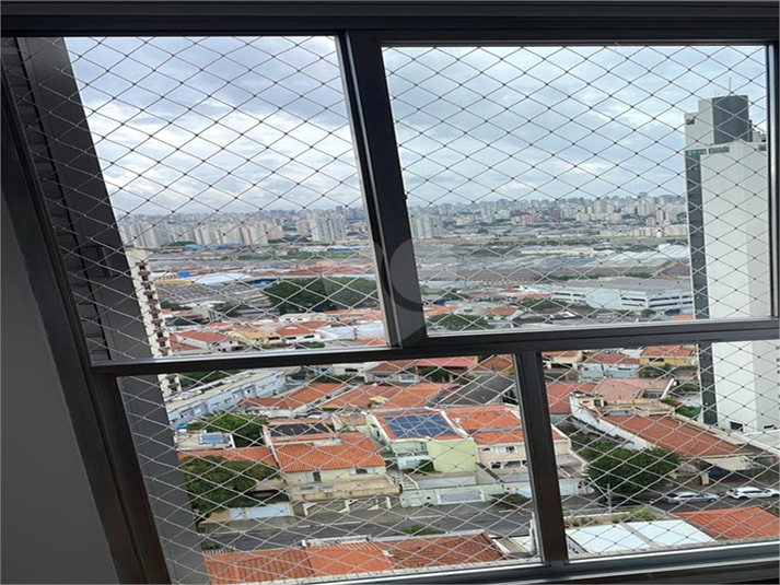 Foto REO155539
