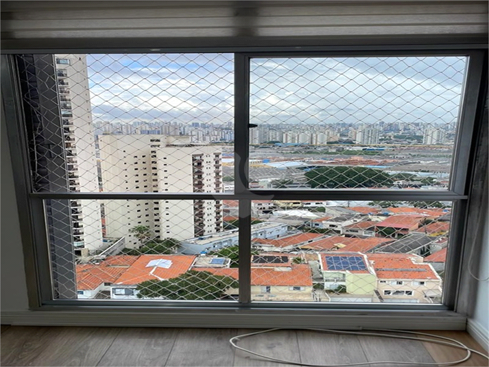 Foto REO155539