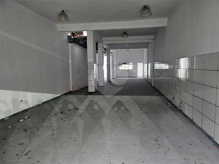 Foto REO156398