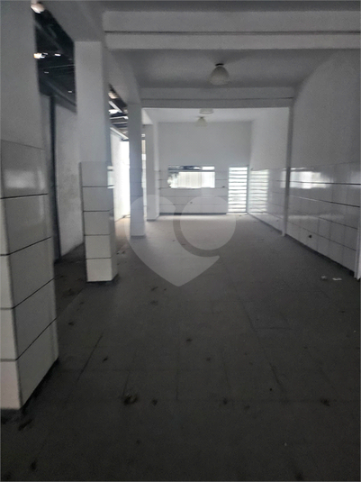 Foto REO156398