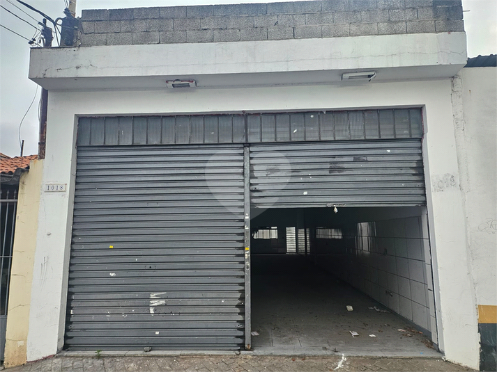 Foto REO156398
