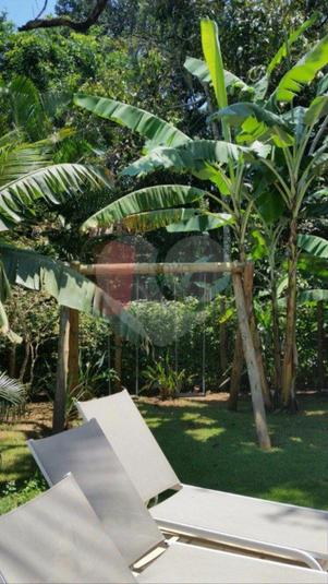 Foto REO156441