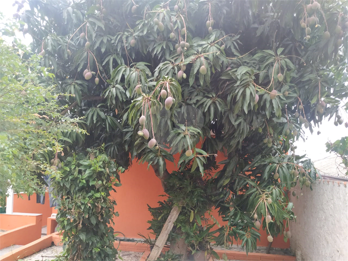 Foto REO156670