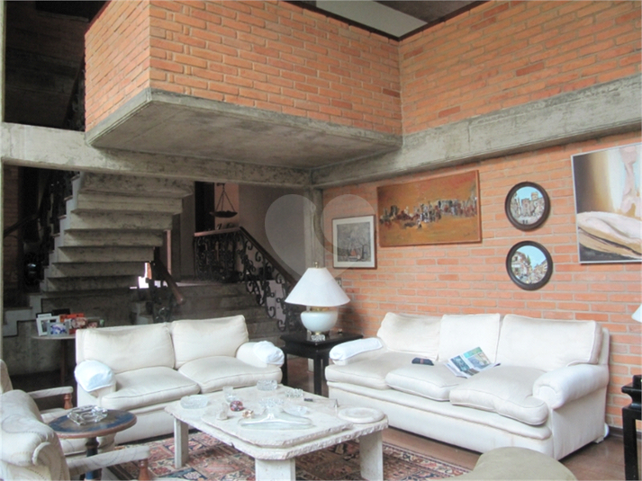 Foto REO157350