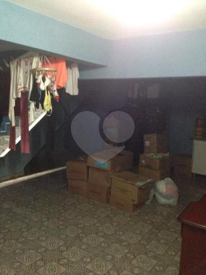 Foto REO157451