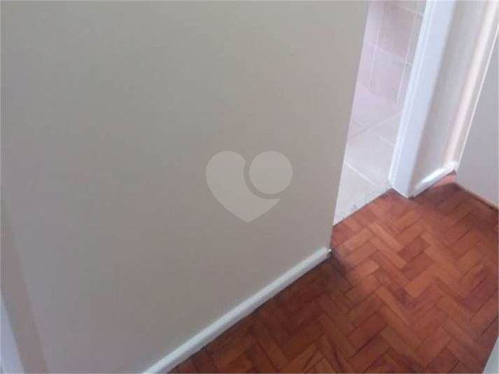 Foto REO157685