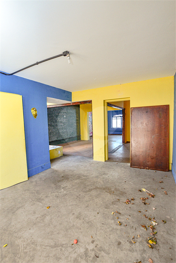 Foto REO157739