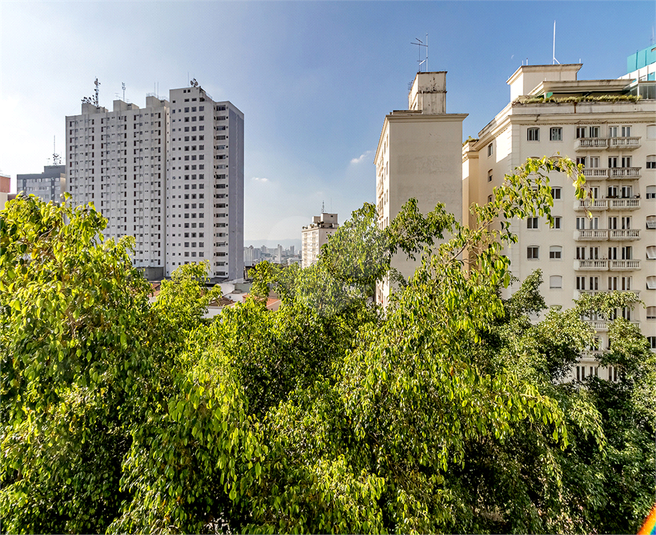 Foto REO158008