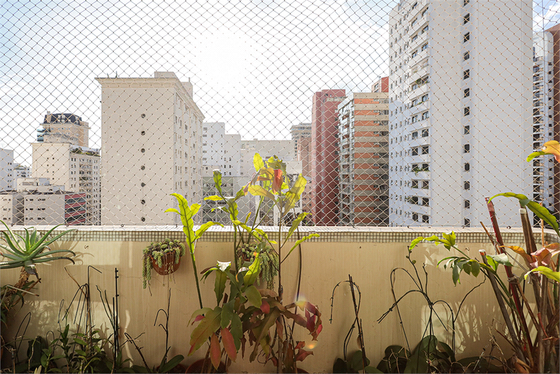 Foto REO158830