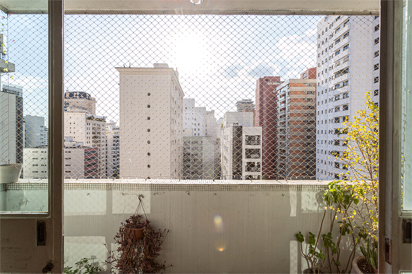 Foto REO158830