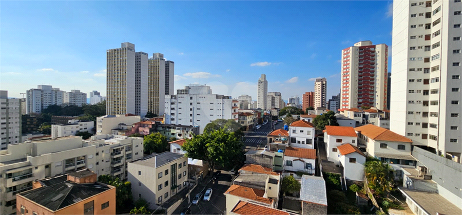 Foto REO159543