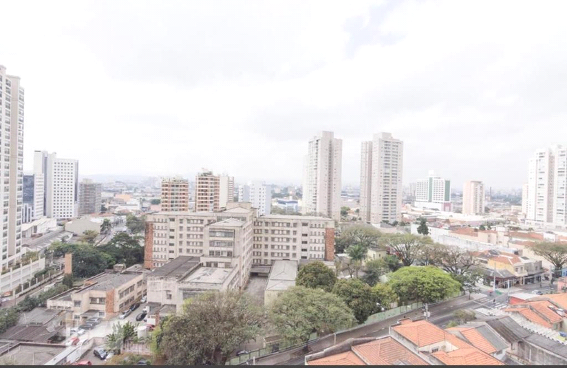 Foto REO159643