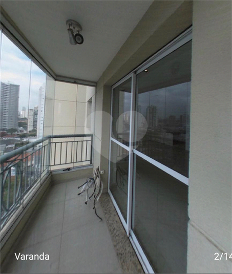Foto REO159643