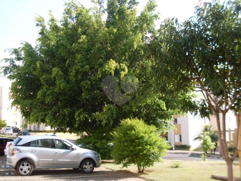 Venda Apartamento Valinhos Ortizes REO160890 19