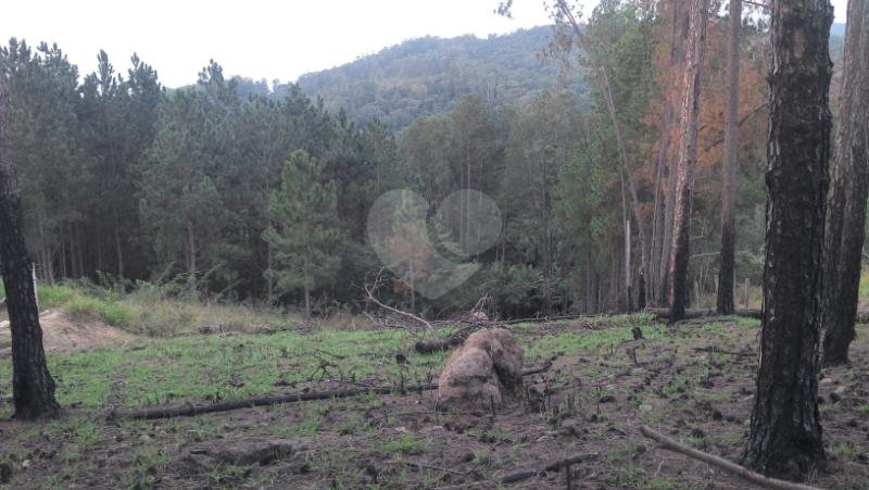 Venda Terreno Atibaia Rosário REO161172 4