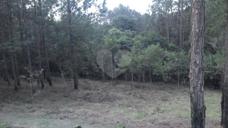 Venda Terreno Atibaia Rosário REO161172 2