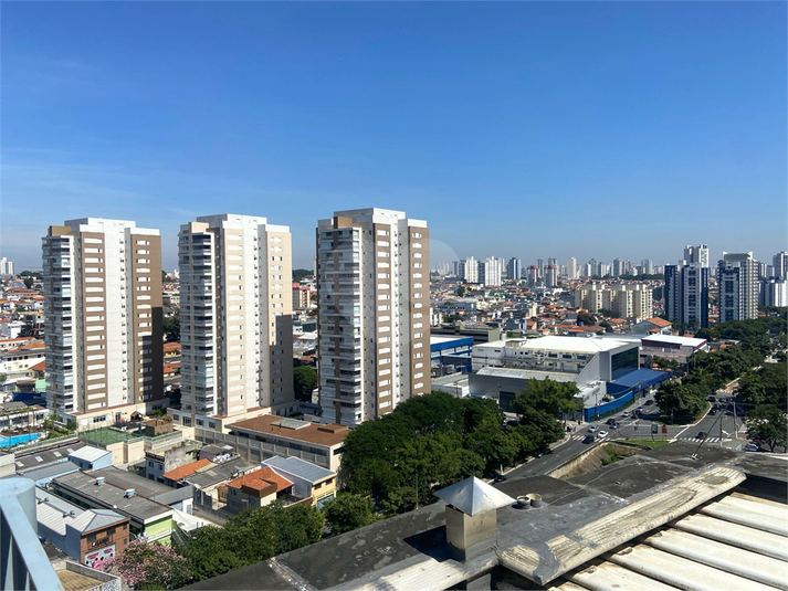 Foto REO162177