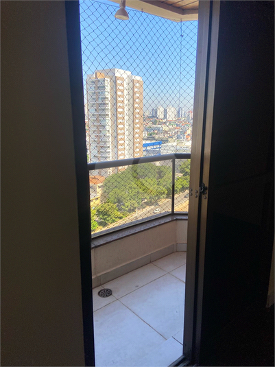 Foto REO162177