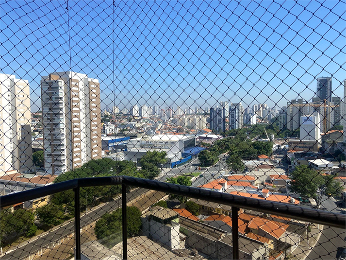 Foto REO162177