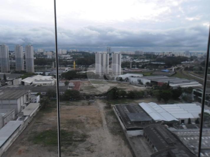 Foto REO162491