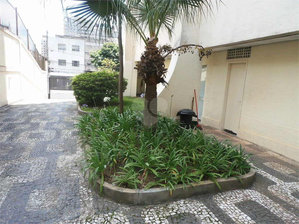 Aluguel Apartamento São Paulo Cerqueira César REO162706 26