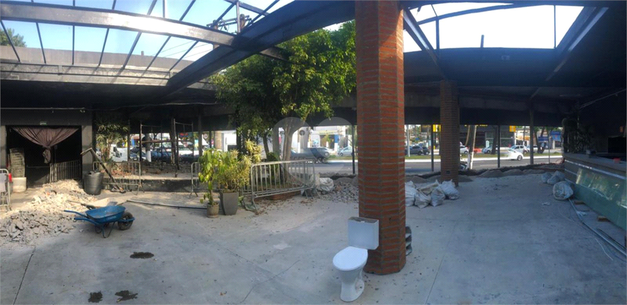 Foto REO16284