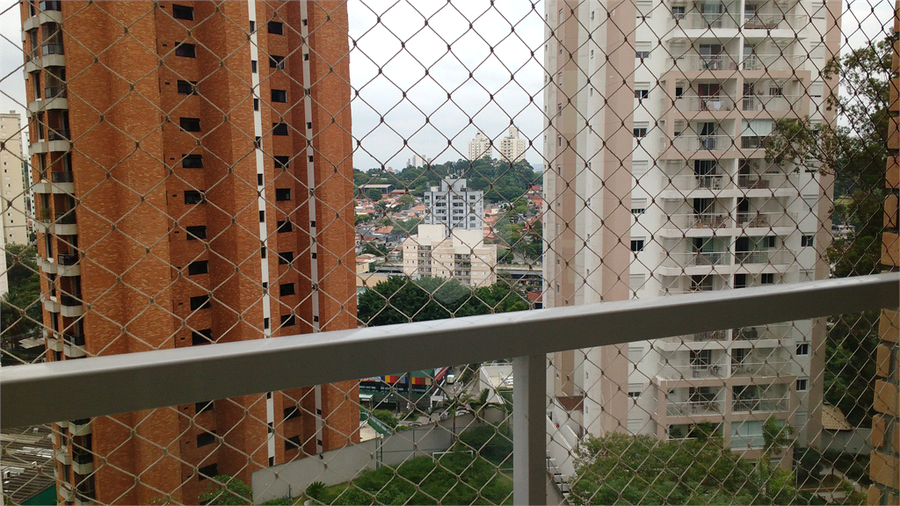 Foto REO163261
