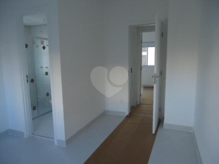 Foto REO163261