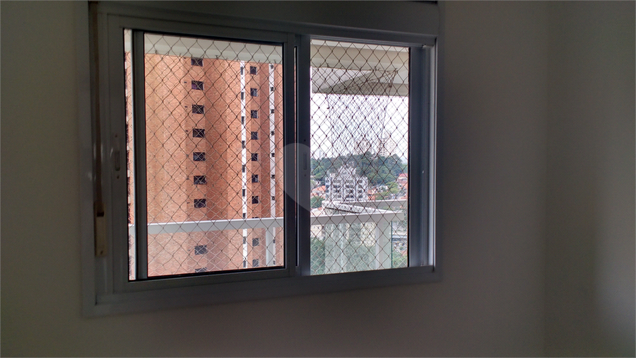 Foto REO163261