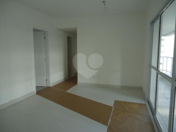 Foto REO163261