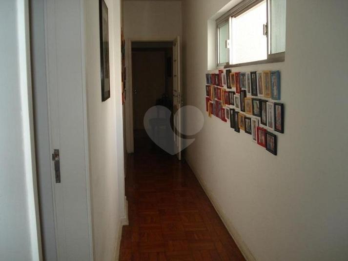 Foto REO163348