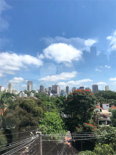 Foto REO163754